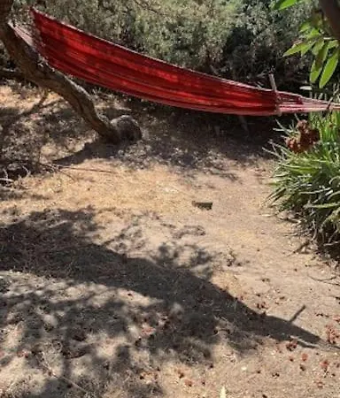 Casa Cicci In Pole Position Di Fronte Al Mare Σπίτι διακοπών *